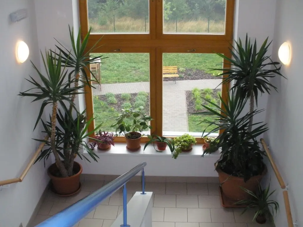 Schodiště